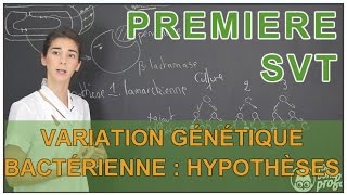 Variation génétique bactérienne  hypothèses possibles  SVT  1ère  Les Bons Profs [upl. by Prunella]