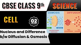 Cell  Nucleus and Difference bw Diffusion amp Osmosis  L02  9th Science  Live Class  Study Isle [upl. by Gnaoh]