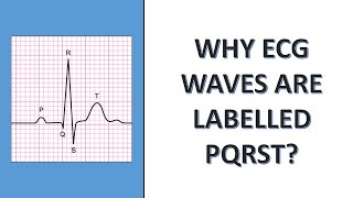 Why ECG waves are labelled as PQRST [upl. by Seafowl]