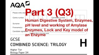 AQA GCSE Combined Science Higher Biology Paper 1H June 2022 Part 3 Q3 [upl. by Zolnay]