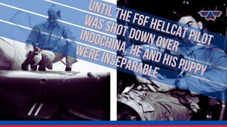 Until the F6F Hellcat pilot was shot down over Indochina he and his puppy were inseparable [upl. by Meredeth]