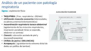 Fisiopatologia del ASMA [upl. by Lourie]