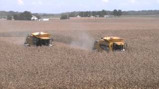 Caterpillar 595R and Claas Lexion 760TT Combines Harvesting Corn [upl. by Burkhard]