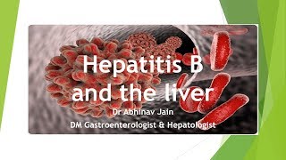 How does hepatitis B affect the liver [upl. by Christean]