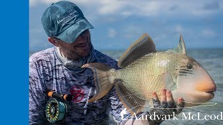 How To Catch A Triggerfish On Fly [upl. by Ezara]