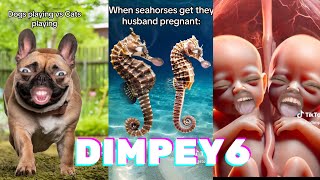 Dimpey6 Funny Videos  Best of Dimpey6 2024  Shorts Comps [upl. by Ivory]