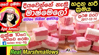 ✔ දියවෙන්නේ නැති මාෂ්මෙලෝ හදන හරි ක්‍රමය Soft Real Marshmallows English sub by Apé Amma [upl. by Ttesil785]