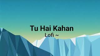 Tu Hai Kahan  Aur  Lofi [upl. by Piers]