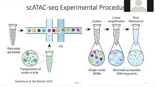 2020 STAT115 Lect161 Intro to SingleCell ATACseq [upl. by Sussi]