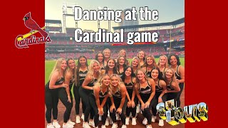 Dancing at the Cardinal game Lindenwood Lionettes [upl. by Pease329]