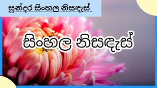 නිසඳැස් වලට ආදරේ කරන ඔයත් අනිවාරෙන් බලන්න  ලස්සන නිසඳැස්  sinhala nisadas  wadan sayura [upl. by Amarette]