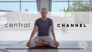 The Central Channel Sushumna Nadi  One Yoga [upl. by Enra]