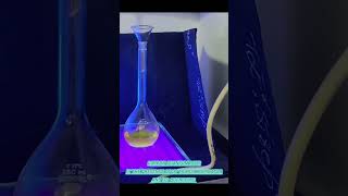 Carbon Quantum Dots under UV TRANSILLUMINATOR and its QUENCHING youtube biology biochemic cqdx [upl. by Nylsirk79]