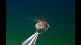 Fly Tying Clarkes caddis fly with Barry Ord Clarke [upl. by Skolnik]