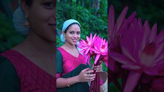 ഞങ്ങളുടെ തിരുവോണ ആഘോഷം 🌼🪷🪷saranyasbeautyvlogs [upl. by Ger506]