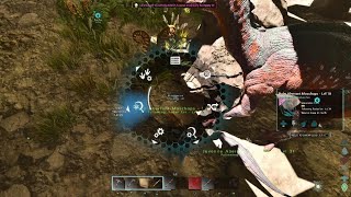 ARK Survival Ascended taming spree [upl. by Stutzman927]