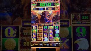 Buffalo slotmachine MASSIVE WIN casino jackpot HarrahsSoCal [upl. by Ailehpo866]