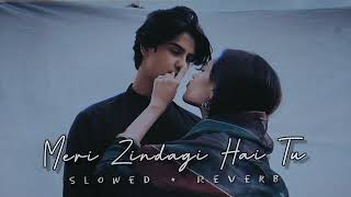 Meri Zindagi Hai Tu Slowed  ReverbRD lofi music [upl. by Rabassa]