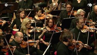 Wagner Der Ring des Nibelungen arr De Vlieger  Radio Filharmonisch Orkest  Live concert HD [upl. by Eiram]