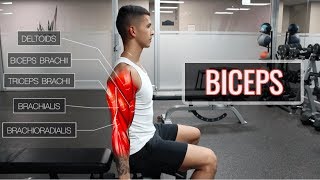 The Best ScienceBased Bicep Workout  ARMS Part 12 [upl. by Alleunamme]