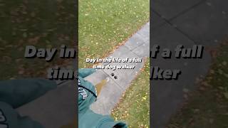 Part 1  Dog Walker DITL🐾dogs dogshorts dogwalk doglover smallbusiness dogmom ditl petlover [upl. by Conlon659]