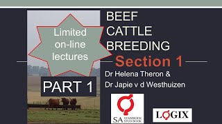 1 Online English Beef Cattle Breeding Course Section 1 PART 1 [upl. by Nosoj]