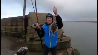 1st flounder of the season fishing tightlines scarborough seafishing [upl. by Unders]