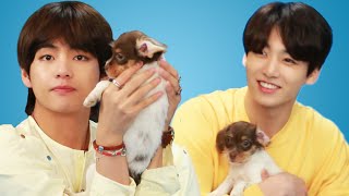 BTS Plays With Puppies While Answering Fan Questions [upl. by Gilchrist]