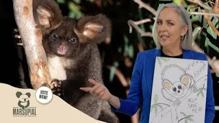 Why The Greater Glider Should Be Marsupial Of The Year [upl. by Musihc869]