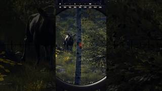 Die erste Jagd auf der neuen Map 🦌🌲  Way of the Hunter [upl. by Tnahsin]