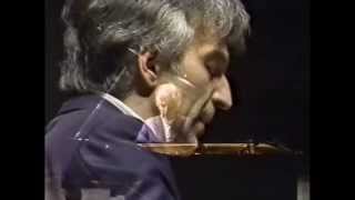 Chopin Nocturne Op482 Vladimir Ashkenazy [upl. by Anavlys]