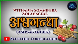 Ashwagandha।।अश्वगंधा।।Withania somnifera।।Solanaceae।।Dravyaguna vigyan।। द्रव्यगुण।।BAMS 2nd year। [upl. by Nehttam755]