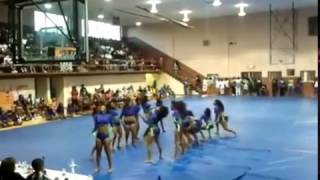 Lowndes County Dance Company 2014 Field Show Performance LCDC [upl. by Llarret]