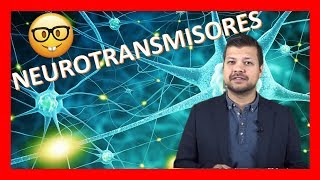 NEUROTRANSMISORES Y RECEPTORES explicados FACIL ✅ [upl. by Sverre]