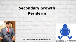 Periderm  Secondary growth ProfAdnan Khalid [upl. by Fransen]