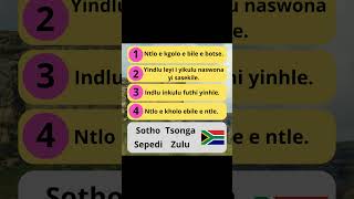 Languages of South Africa trivia shorts [upl. by Eecak]