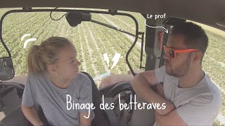 Japprend le binage des betteraves sucrière [upl. by Andrew26]