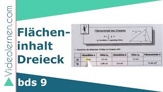 Flächeninhalt eines Dreieckes berechnen  bds 9II  Nr1a [upl. by Enaffit]