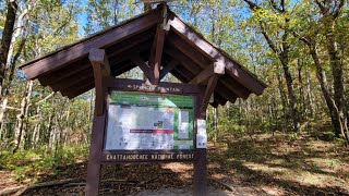 rt 180 blairsville ga brasstown bald october 20th 2024 fall colors are popping out [upl. by Roberts]