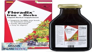 Floradix Iron amp Herbs Liquid Herbal Supplement for Energy Support Review [upl. by Earl]