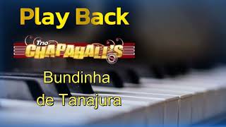 Play com Letra Trio Chapahalls Bundinha de Tanajura Dimas dos Teclados [upl. by Dnalyaw]