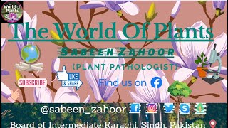 Bryophytes  NonVascular Plants  Kingdom Plantae  Ms Sabeen Zahoor  Plant Pathologist [upl. by Allmon]