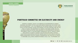 Portfolio Committee on Electricity and Energy 18 September 2024 [upl. by Hiro]