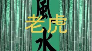 Feng Shui Music  风水音乐Tiger Relaxation Harmony amp Energy [upl. by Nnalatsyrc13]