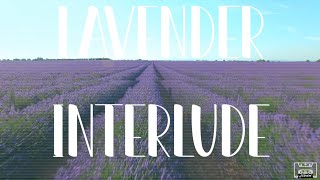 RampB Type Beat Acoustic Guitar  quotLavender Interludequot [upl. by Aldridge78]