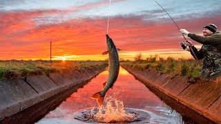 Fenland Pike Fishing Adventures  Tales of Triumph and Trophy fish [upl. by Wiles333]