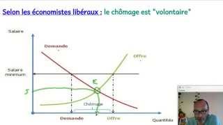 Le salaire minimum estil responsable du chômage  ECONOMIE [upl. by Swithin722]