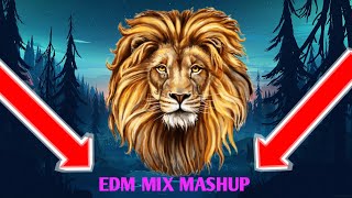 EDM MASHUP MIX  COLLEGE KI LADKI x BADSHAH x BANGO BANGO x MERA NAM HAI LAKHAN [upl. by Eilrahs]