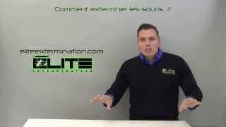 COMMENT EXTERMINER LES SOURIS   Élite Gestion Parasitaire [upl. by Anitserp]