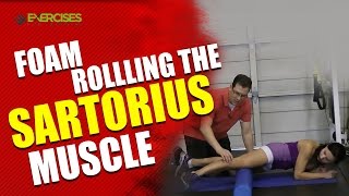 Foam Rollling the Sartorius Muscle [upl. by Adeys]